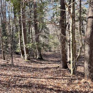 Photo #31 of 7368 Colonial Trail East, Surry, VA 35.7 acres