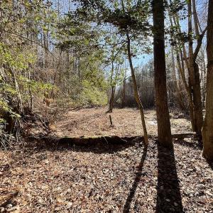 Photo #32 of 7368 Colonial Trail East, Surry, VA 35.7 acres