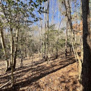 Photo #33 of 7368 Colonial Trail East, Surry, VA 35.7 acres