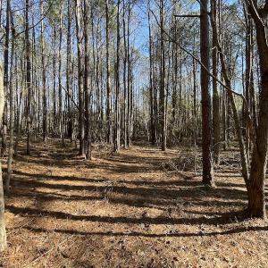 Photo #34 of 7368 Colonial Trail East, Surry, VA 35.7 acres