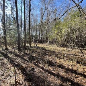 Photo #35 of 7368 Colonial Trail East, Surry, VA 35.7 acres