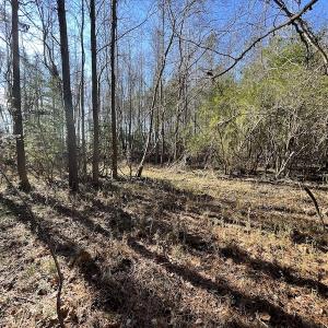 Photo #35 of 7368 Colonial Trail East, Surry, VA 35.7 acres