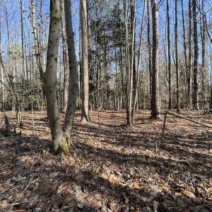Photo #39 of 7368 Colonial Trail East, Surry, VA 35.7 acres