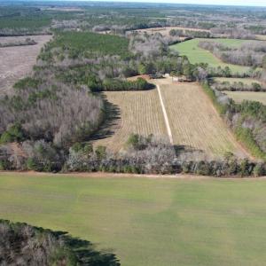 Photo #4 of 7368 Colonial Trail East, Surry, VA 35.7 acres