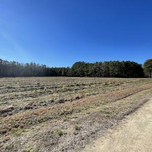 Photo #47 of 7368 Colonial Trail East, Surry, VA 35.7 acres