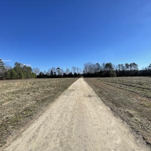 Photo #48 of 7368 Colonial Trail East, Surry, VA 35.7 acres