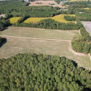 Photo #6 of 7368 Colonial Trail East, Surry, VA 35.7 acres
