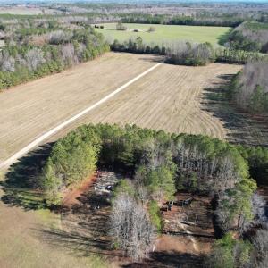 Photo #8 of 7368 Colonial Trail East, Surry, VA 35.7 acres