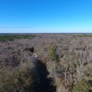 Photo #3 of SOLD property in Off Durwood Evans Road, Beulaville, NC 158.7 acres