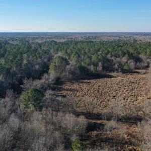 Photo #26 of SOLD property in Off Durwood Evans Road, Beulaville, NC 158.7 acres