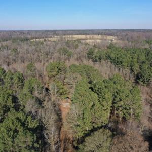 Photo #27 of SOLD property in Off Durwood Evans Road, Beulaville, NC 158.7 acres