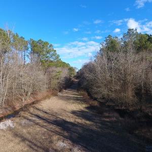 Photo #28 of SOLD property in Off Durwood Evans Road, Beulaville, NC 158.7 acres