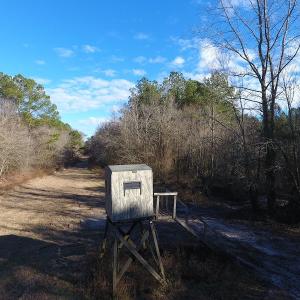 Photo #4 of SOLD property in Off Durwood Evans Road, Beulaville, NC 158.7 acres