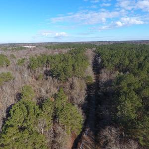 Photo #31 of SOLD property in Off Durwood Evans Road, Beulaville, NC 158.7 acres