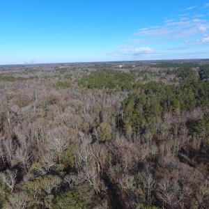 Photo #32 of SOLD property in Off Durwood Evans Road, Beulaville, NC 158.7 acres