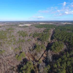Photo #33 of SOLD property in Off Durwood Evans Road, Beulaville, NC 158.7 acres