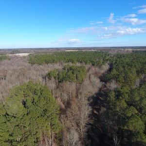 Photo #34 of SOLD property in Off Durwood Evans Road, Beulaville, NC 158.7 acres