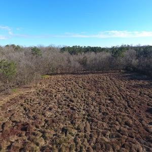 Photo #35 of SOLD property in Off Durwood Evans Road, Beulaville, NC 158.7 acres
