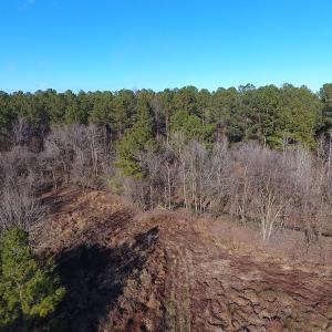 Photo #36 of SOLD property in Off Durwood Evans Road, Beulaville, NC 158.7 acres