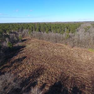 Photo #39 of SOLD property in Off Durwood Evans Road, Beulaville, NC 158.7 acres
