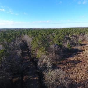 Photo #40 of SOLD property in Off Durwood Evans Road, Beulaville, NC 158.7 acres