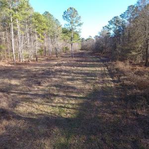 Photo #41 of SOLD property in Off Durwood Evans Road, Beulaville, NC 158.7 acres