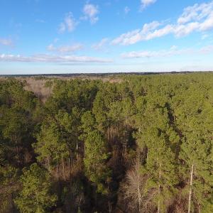 Photo #43 of SOLD property in Off Durwood Evans Road, Beulaville, NC 158.7 acres