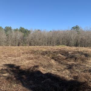 Photo #45 of SOLD property in Off Durwood Evans Road, Beulaville, NC 158.7 acres