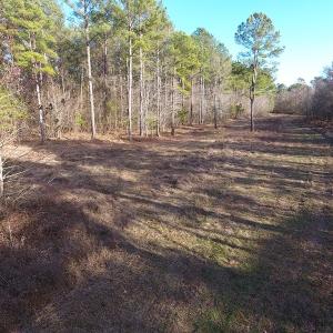 Photo #6 of SOLD property in Off Durwood Evans Road, Beulaville, NC 158.7 acres