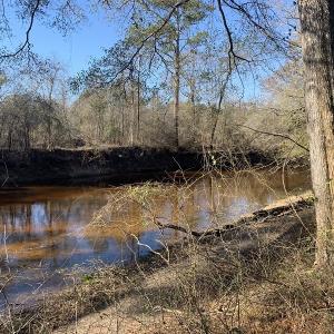 Photo #47 of SOLD property in Off Durwood Evans Road, Beulaville, NC 158.7 acres