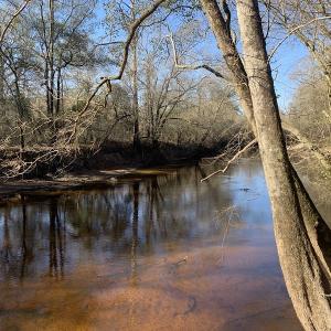 Photo #48 of SOLD property in Off Durwood Evans Road, Beulaville, NC 158.7 acres