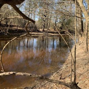Photo #50 of SOLD property in Off Durwood Evans Road, Beulaville, NC 158.7 acres
