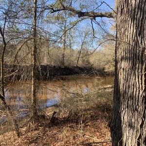 Photo #52 of SOLD property in Off Durwood Evans Road, Beulaville, NC 158.7 acres