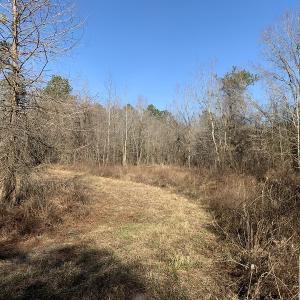 Photo #54 of SOLD property in Off Durwood Evans Road, Beulaville, NC 158.7 acres
