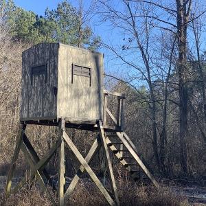 Photo #7 of SOLD property in Off Durwood Evans Road, Beulaville, NC 158.7 acres