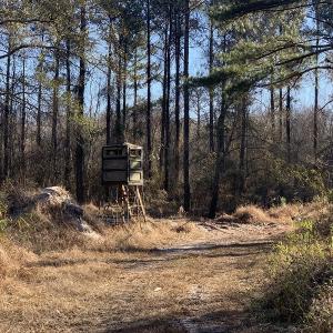 Photo #56 of SOLD property in Off Durwood Evans Road, Beulaville, NC 158.7 acres