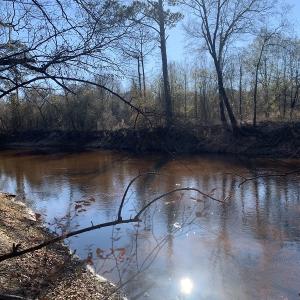 Photo #8 of SOLD property in Off Durwood Evans Road, Beulaville, NC 158.7 acres