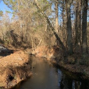 Photo #9 of SOLD property in Off Durwood Evans Road, Beulaville, NC 158.7 acres