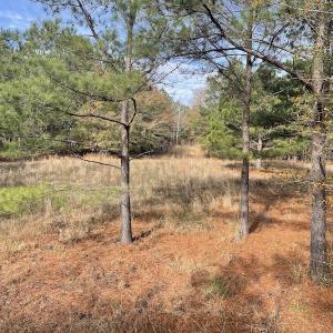 Photo #11 of SOLD property in 114 White Creek Road, Longs, SC 47.0 acres