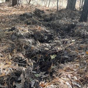 Photo #15 of SOLD property in 114 White Creek Road, Longs, SC 47.0 acres