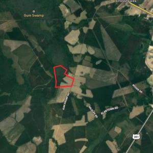 Photo #23 of Off Gum Swamp Road, Sellers , SC 125.0 acres