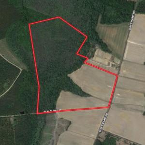 Photo #1 of Off Gum Swamp Road, Sellers , SC 125.0 acres