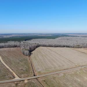 Photo #5 of Off Gum Swamp Road, Sellers , SC 125.0 acres