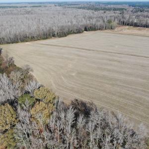 Photo #7 of Off Gum Swamp Road, Sellers , SC 125.0 acres