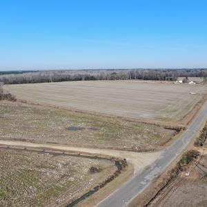 Photo #8 of Off Gum Swamp Road, Sellers , SC 125.0 acres