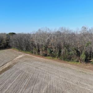 Photo #9 of Off Gum Swamp Road, Sellers , SC 125.0 acres
