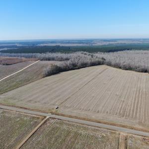 Photo #10 of Off Gum Swamp Road, Sellers , SC 125.0 acres
