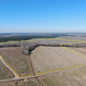 Photo #2 of Off Gum Swamp Road, Sellers , SC 125.0 acres