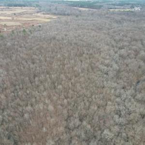 Photo #12 of SOLD property in Off Fortsville Rd, Drewryville, VA 74.0 acres