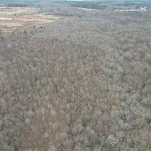 Photo #12 of Off Fortsville Rd, Drewryville, VA 74.0 acres